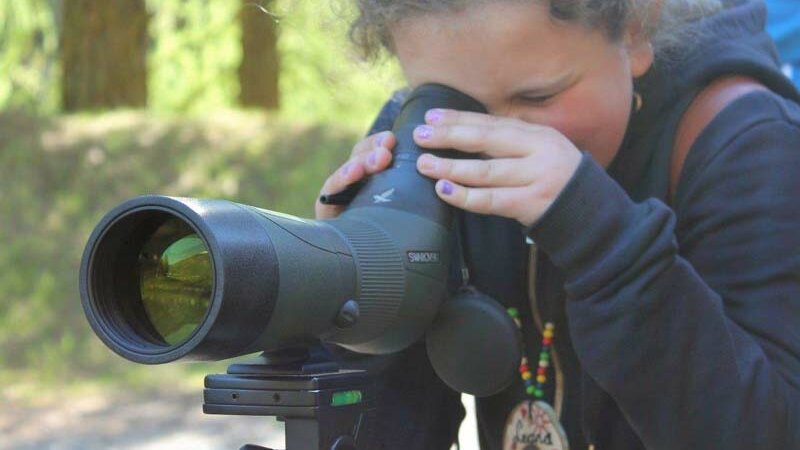 © Archiv NP Ötztal - Plattner Patrizia