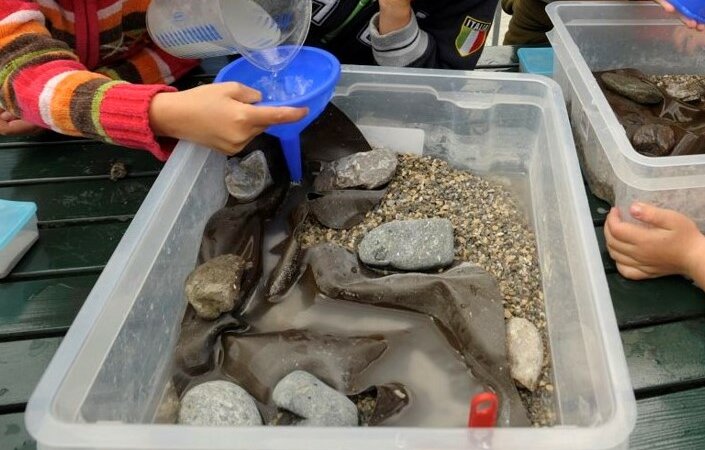 Archiv NP Ötztal/Viktoria Ernst