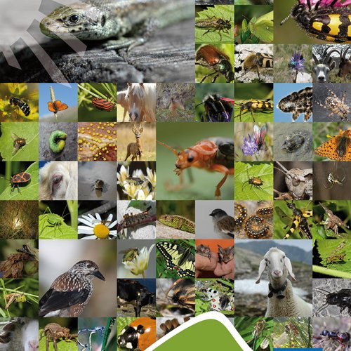 Nature Park posters Fauna