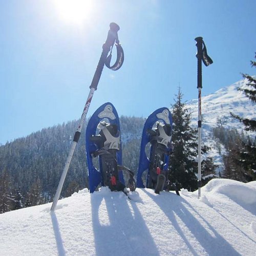 snowshoes ©P. Plattner - Ötztal Nature Park