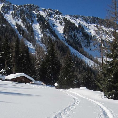 Wurzbergalm ©P. Plattner - Ötztal Nature Park