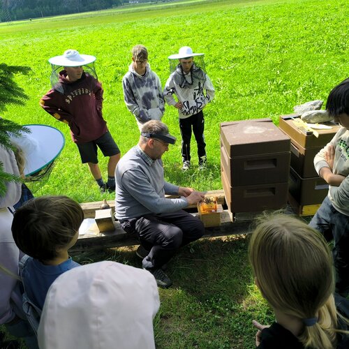 Besuch beim Imkermeister - Viktoria Ernst