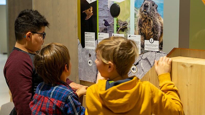 Schulangebot Besuch im Naturpark Haus ©Marcel Schock