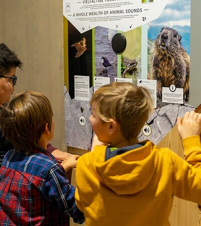 Schulangebot Besuch im Naturpark Haus ©Marcel Schock