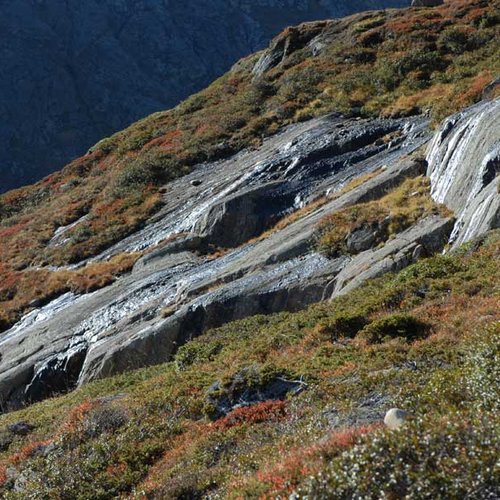 Vernagt glacier – ©Anton Vorauer - Ötztal Nature Park