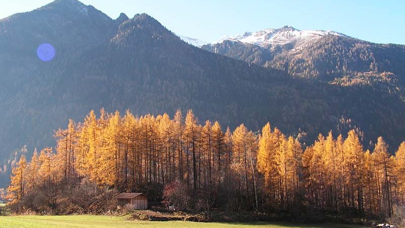 Rauher Bichl (“the rough hill”) - Ötztal Nature Park