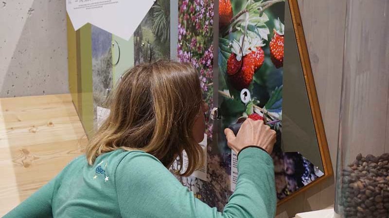 Naturpark Haus in Längenfeld "multimediale NaturERLEBNIS-Ausstellung"