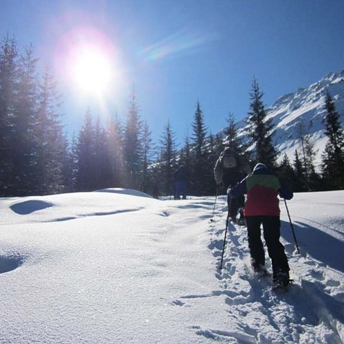 Snowshoeing Wurzbergalm ©P. Plattner - Ötztal Nature Park