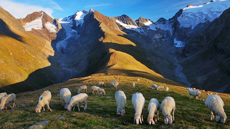 Hohe Mut Obergurgl ©Hansjörg Fiegl - Naturpark Ötztal