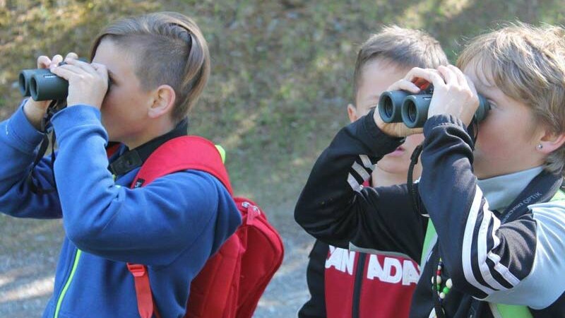 © Archiv NP Ötztal - Plattner Patrizia