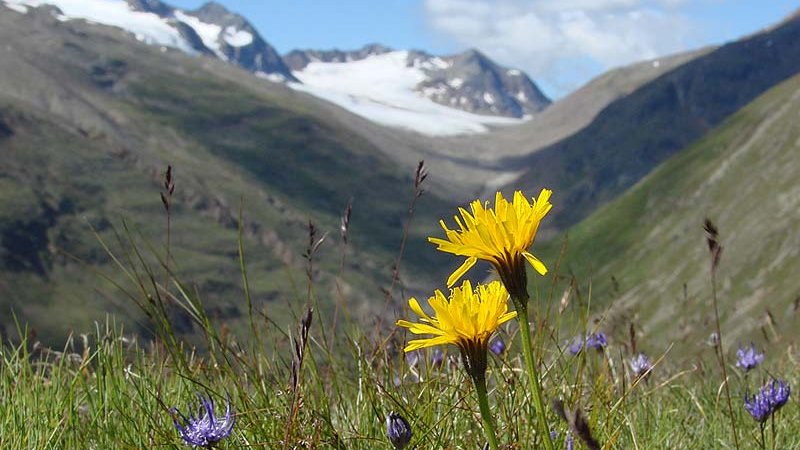 Vernagt Hochjoch ©P. Stöckl - Ötztal Nature Park