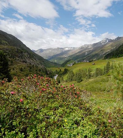 Obergurgler Zirbenwald - Naturpark Ötztal