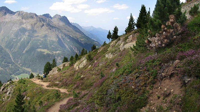 Windach Valley Natural Forest Reserve - © Anita Hofer Ötztal Nature Park