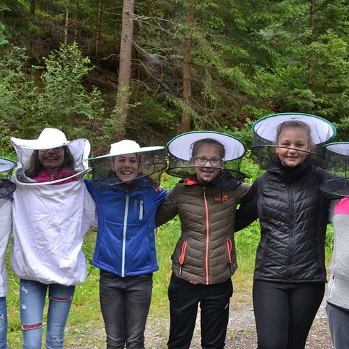 Bienen ©Archiv Naturpark Ötztal P. Pattner