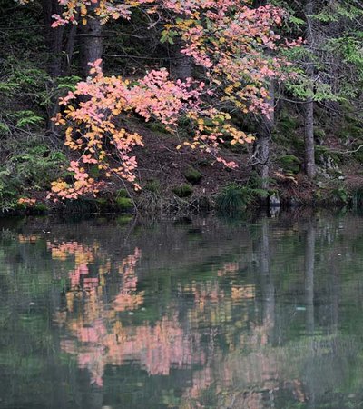 Winkelbergsee ©A. Vorauer - Naturpark Ötztal