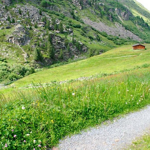 Archiv NP Ötztal/Zirbenwald/Feldner