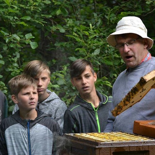 Bienen ©Archiv Naturpark Ötztal P. Pattner