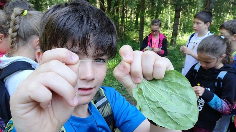 © Archiv Naturpark Ötztal - Plattner Patrizia