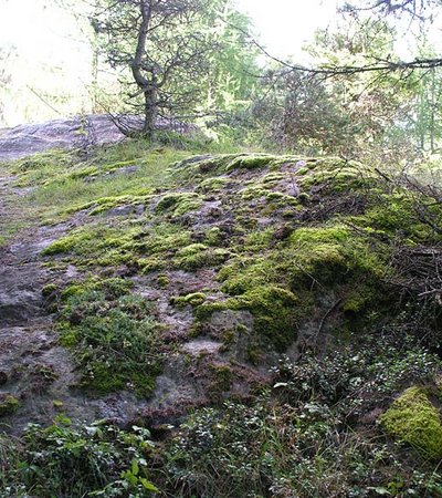 Archäologische Wanderung Windach "Schalenstein" - Naturpark Ötztal