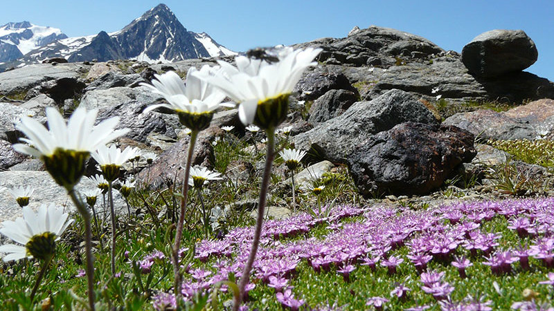 ©Archiv Naturpark Ötztal - T. Schmarda