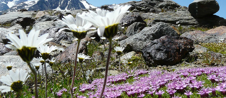 ©Archiv Naturpark Ötztal - T. Schmarda