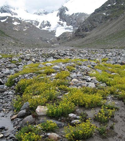 Rotmoostal ©Anita Hofer - Naturpark Ötztal